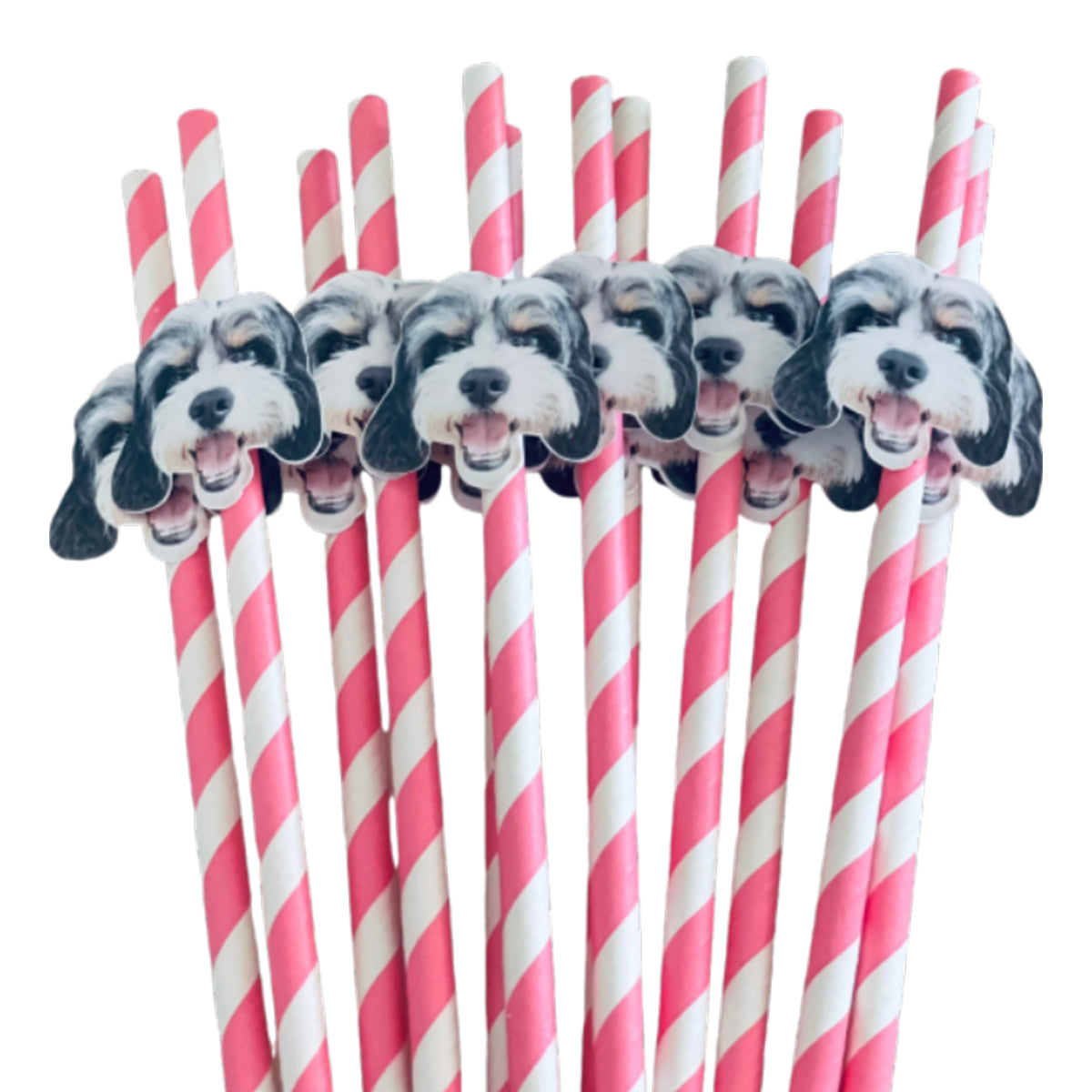 Personalized Pet Face Straws Party Decorations