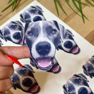 Personalized Funny Face Stickers