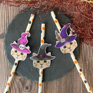 Personalized Halloween Witch Themed Party Face Straws