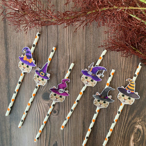 Personalized Halloween Witch Themed Party Face Straws